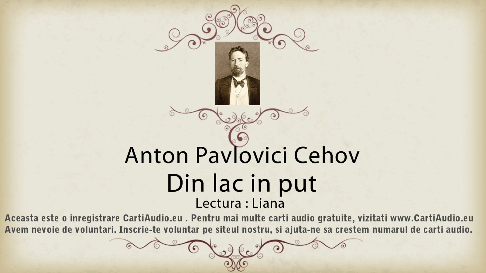 Afișul pentru Din lac in put