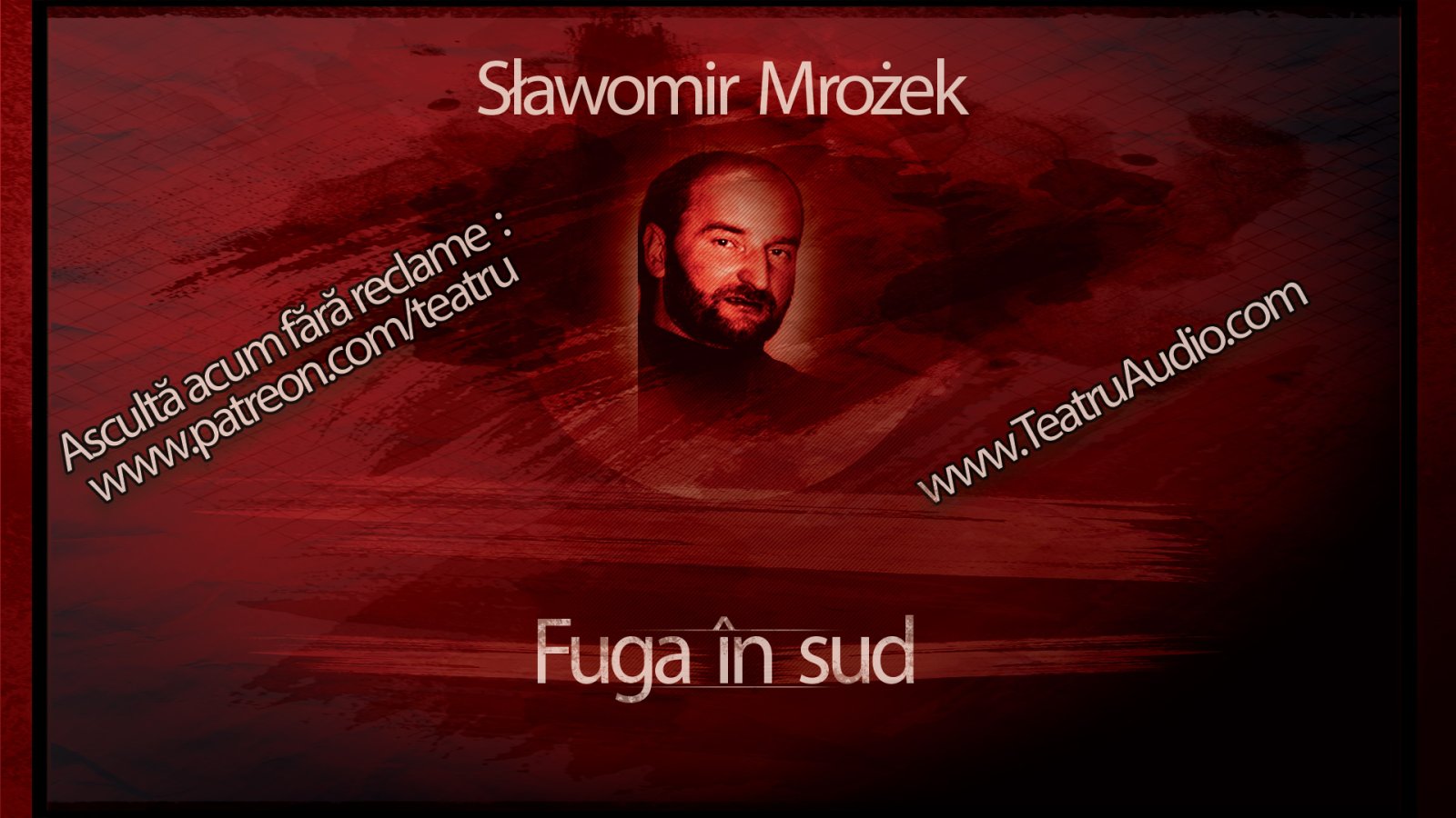 Afișul pentru Fuga in sud