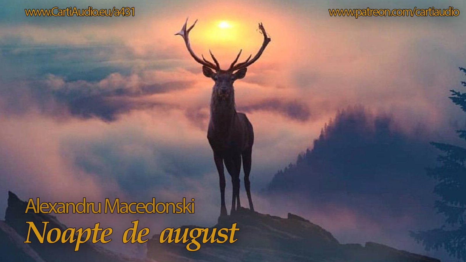 Afișul pentru Noapte de august