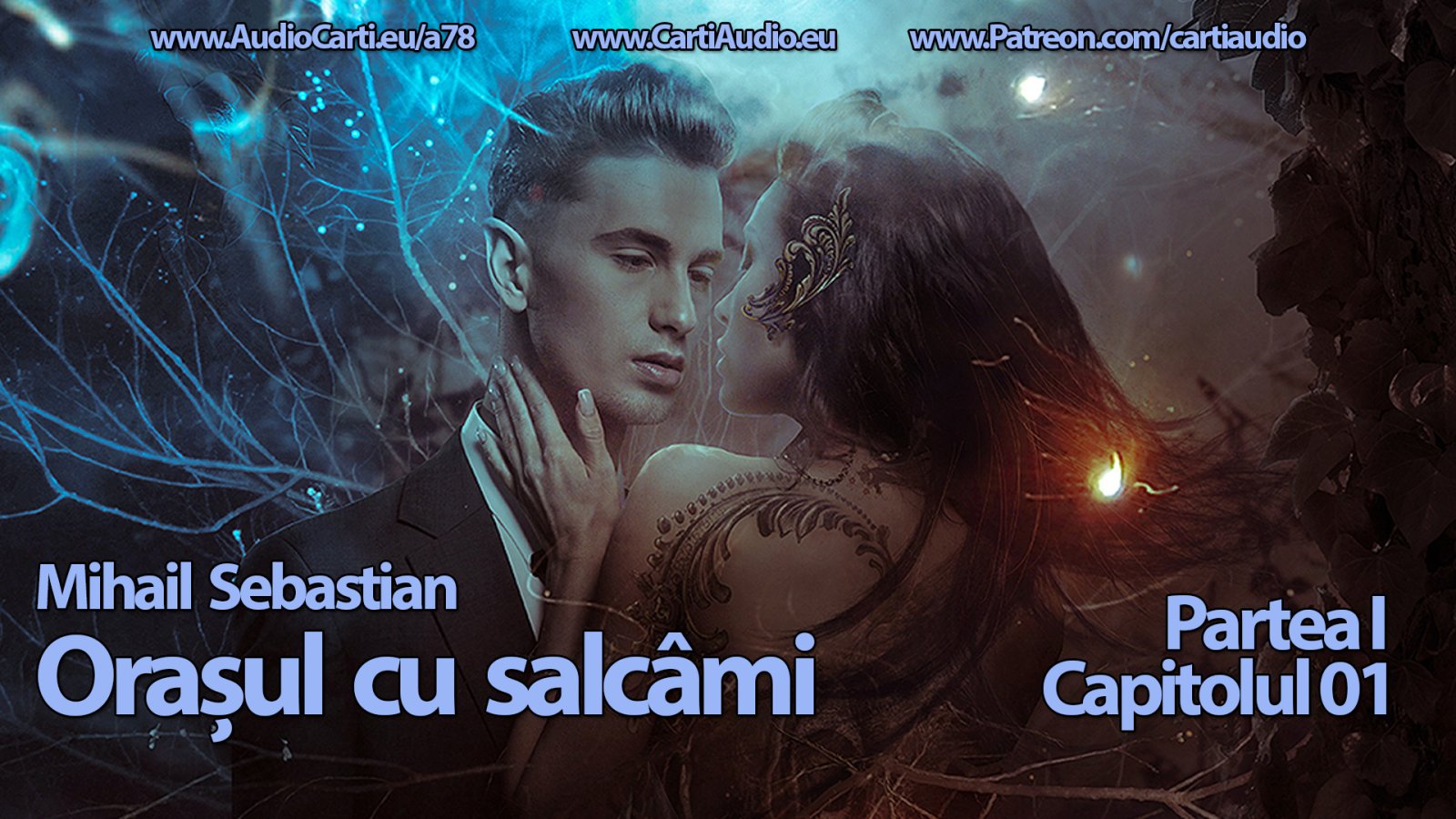 Afișul pentru Orasul cu salcami - Partea 01