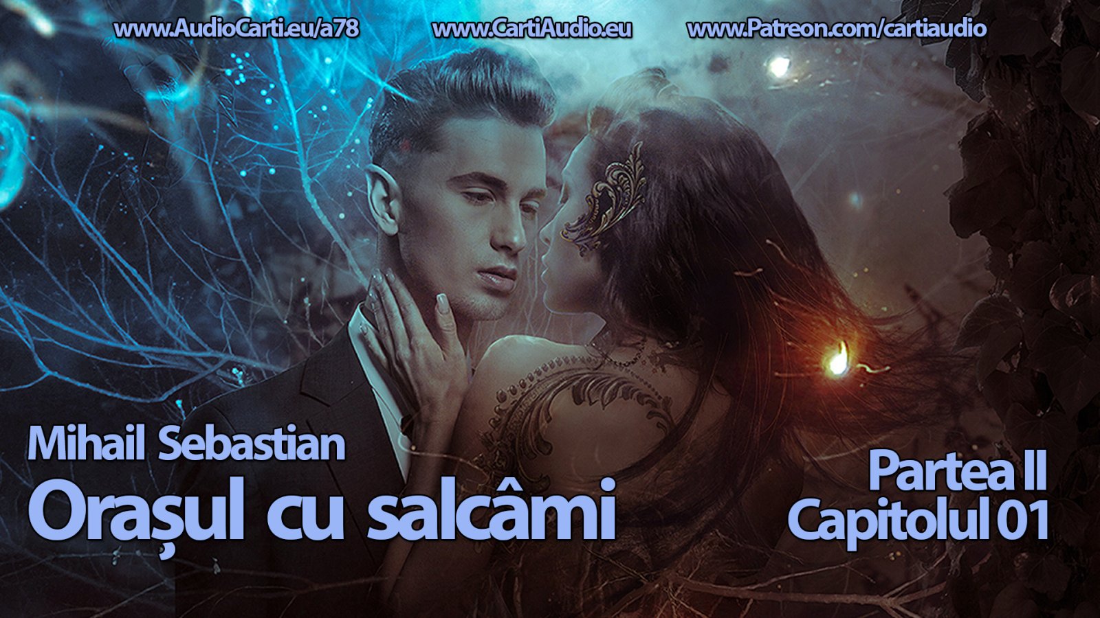 Afișul pentru Orasul cu salcami - Partea 02