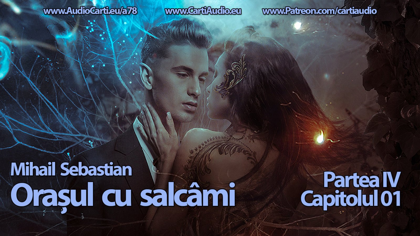 Afișul pentru Orasul cu salcami - Partea 04