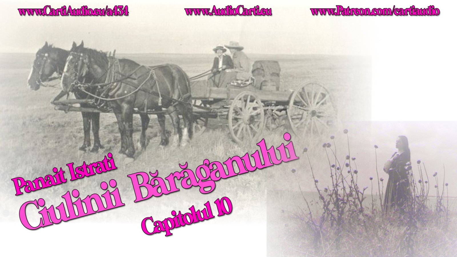 Afișul pentru Ciulinii Baraganului - Capitolul 10