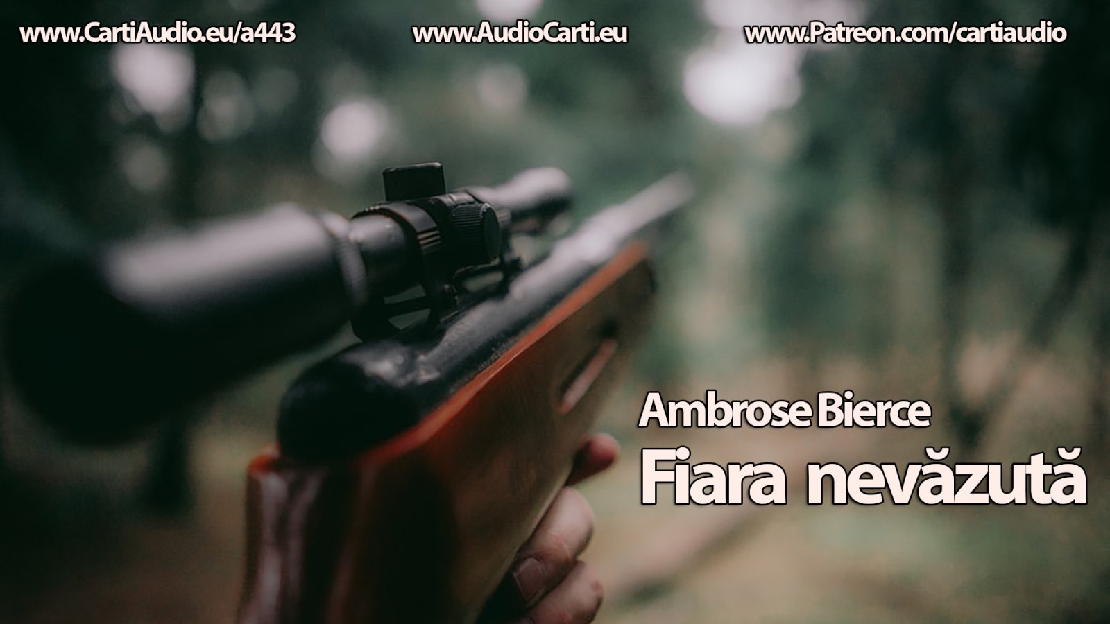 Afișul pentru Fiara nevazuta
