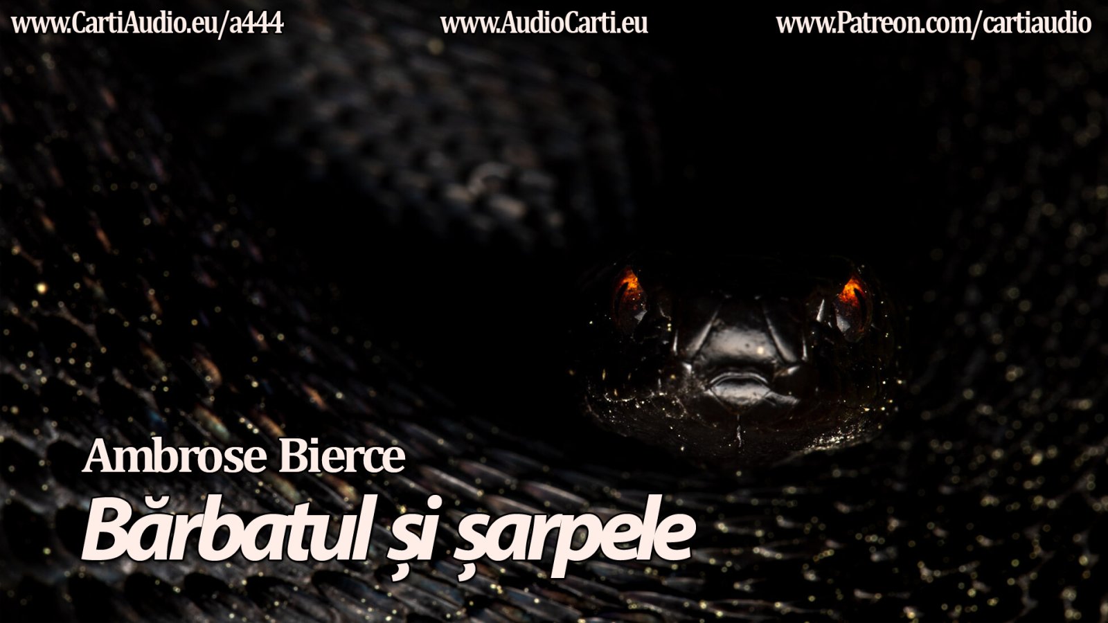 Afișul pentru Barbatul si sarpele