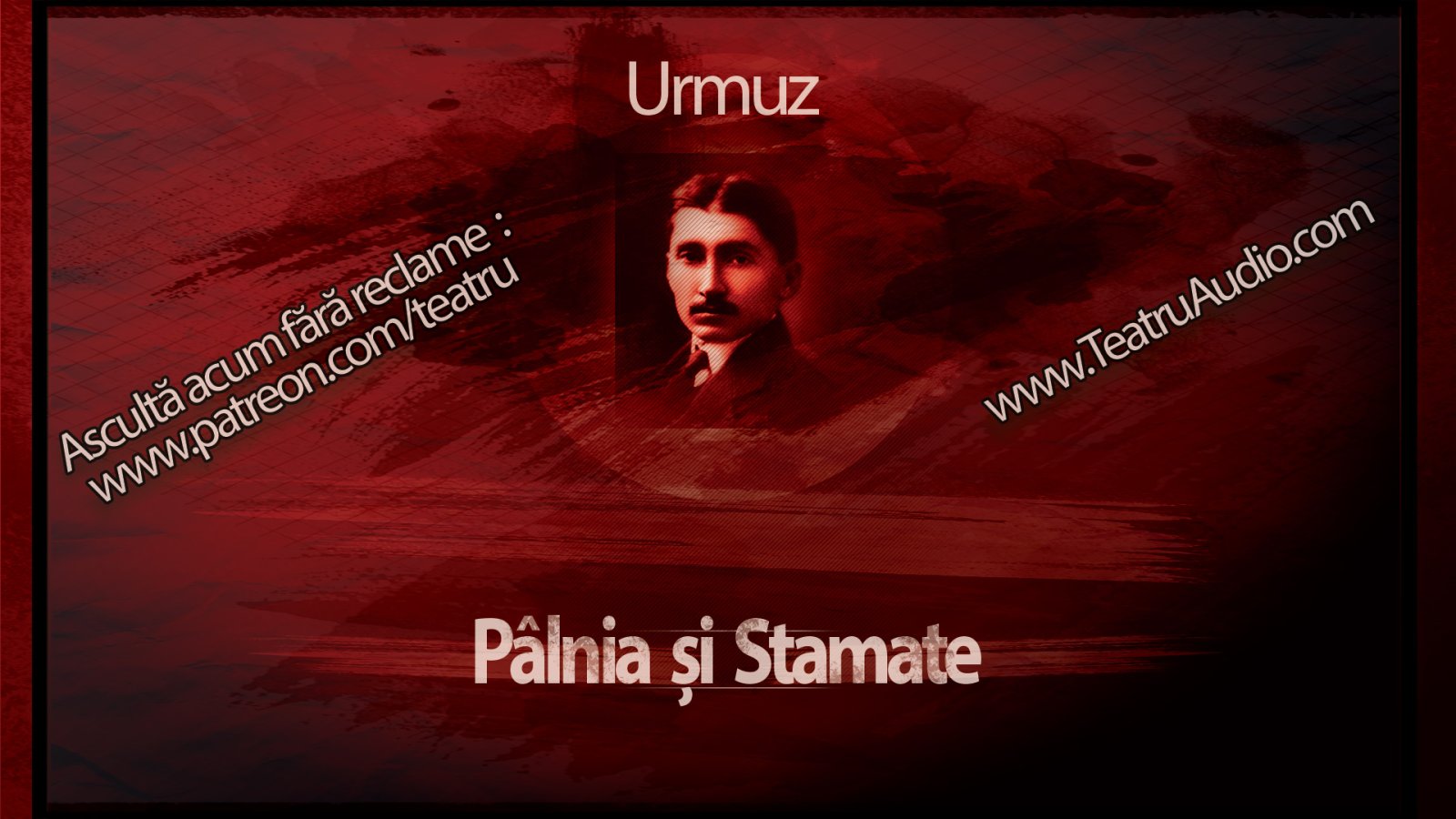 Afișul pentru Palnia si Stamate