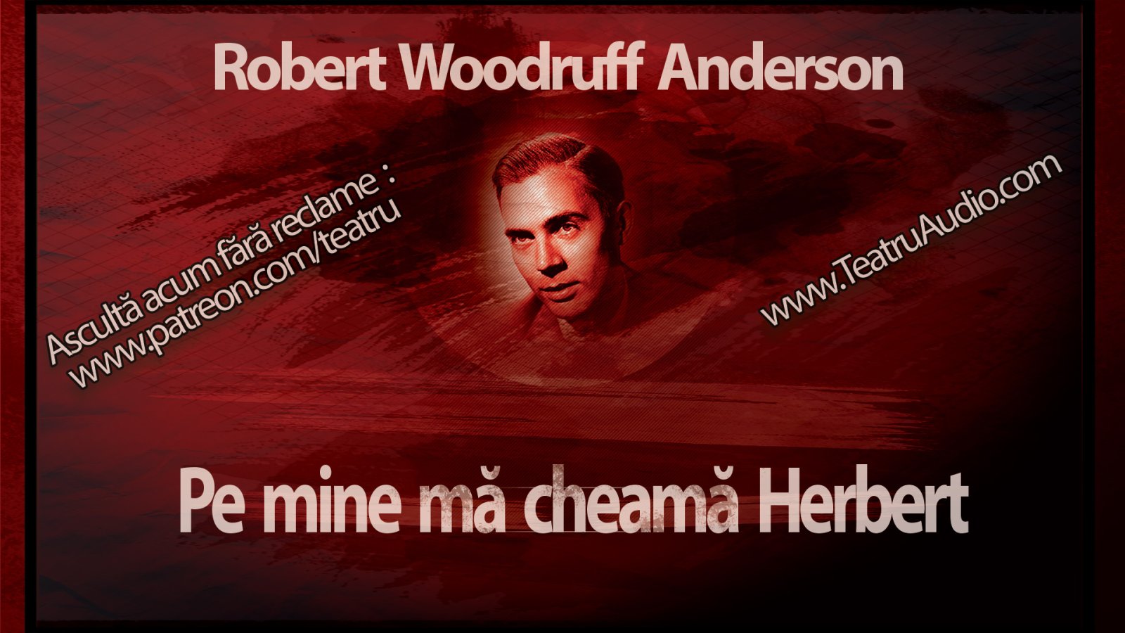 Afișul pentru Pe mine ma cheama Herbert