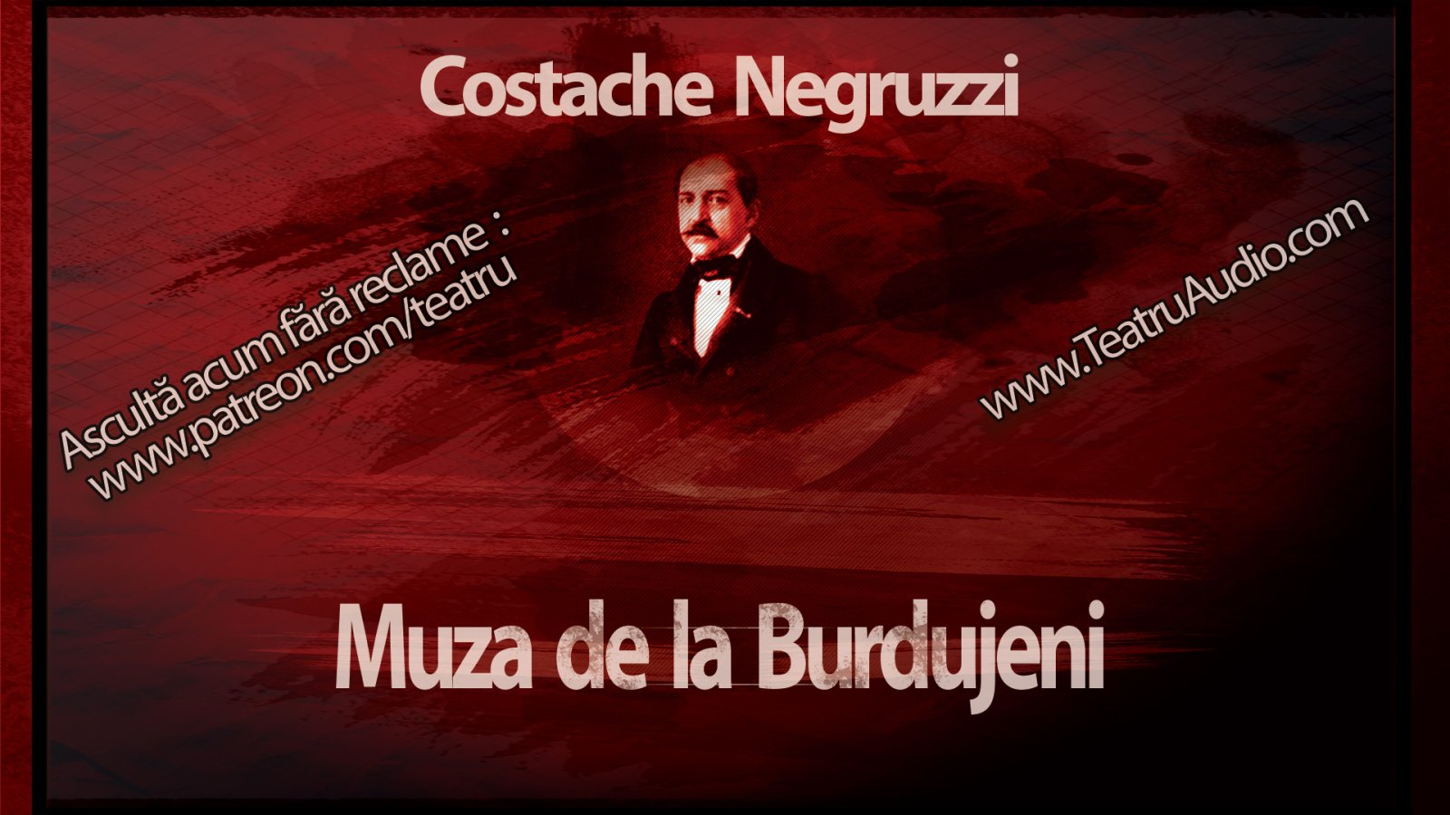 Afișul pentru Muza de la Burdujeni