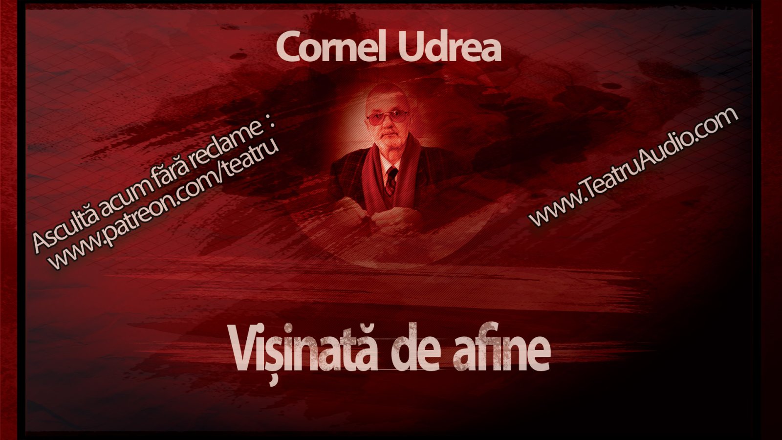 Afișul pentru Visinata de afine