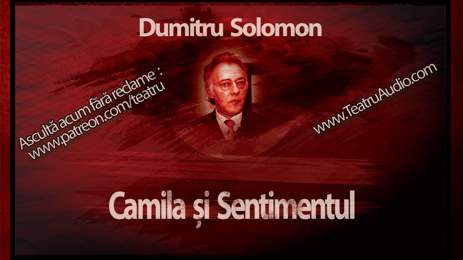 Afișul pentru Doua povestiri scurte: Camila si Sentimentul