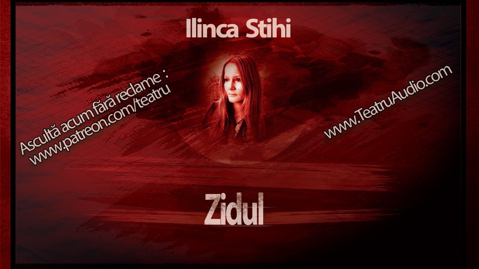 Afișul pentru Zidul