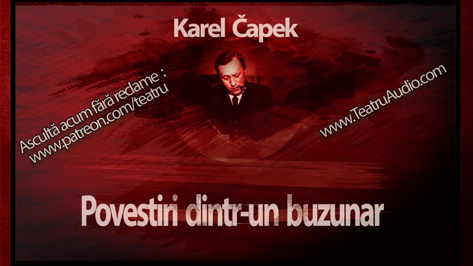 Afișul pentru Povestiri dintr-un buzunar: Poetul si Recordul