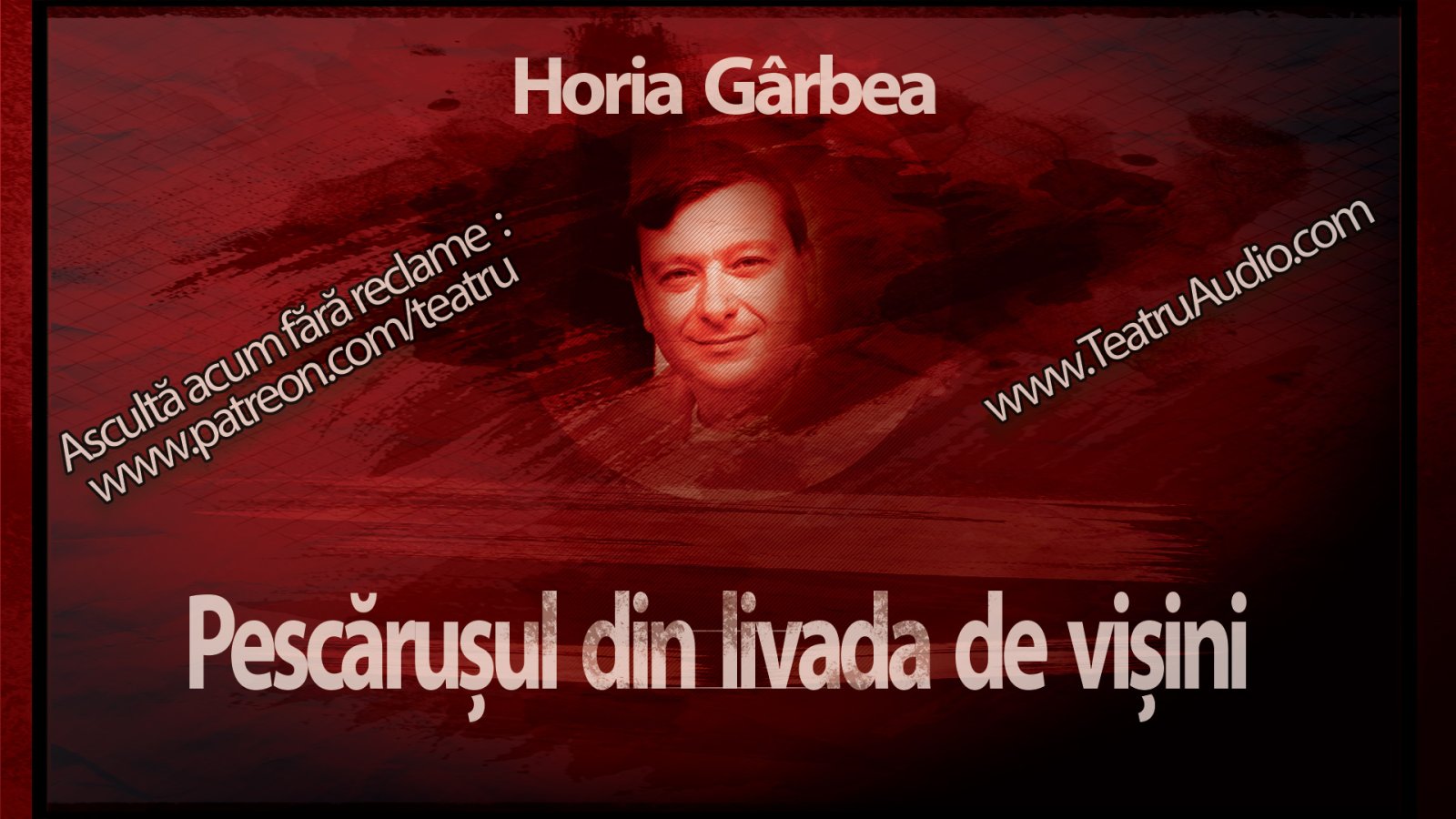 Afișul pentru Pescarusul din livada de visini