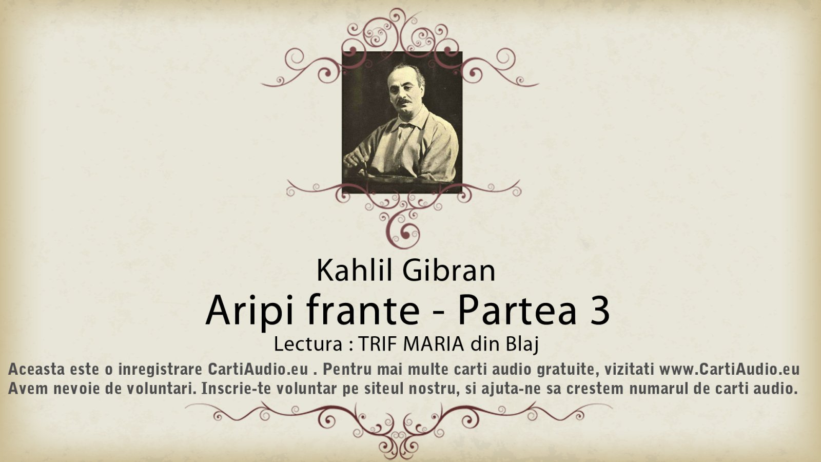 Afișul pentru Aripi frante - Partea 03