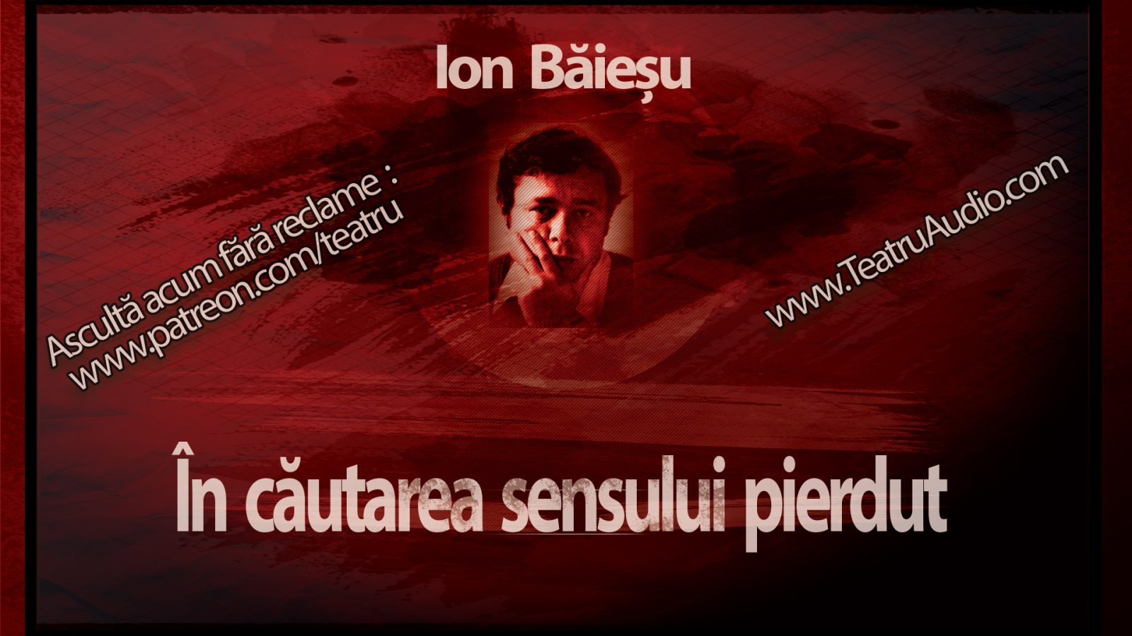 Afișul pentru In cautarea sensului pierdut