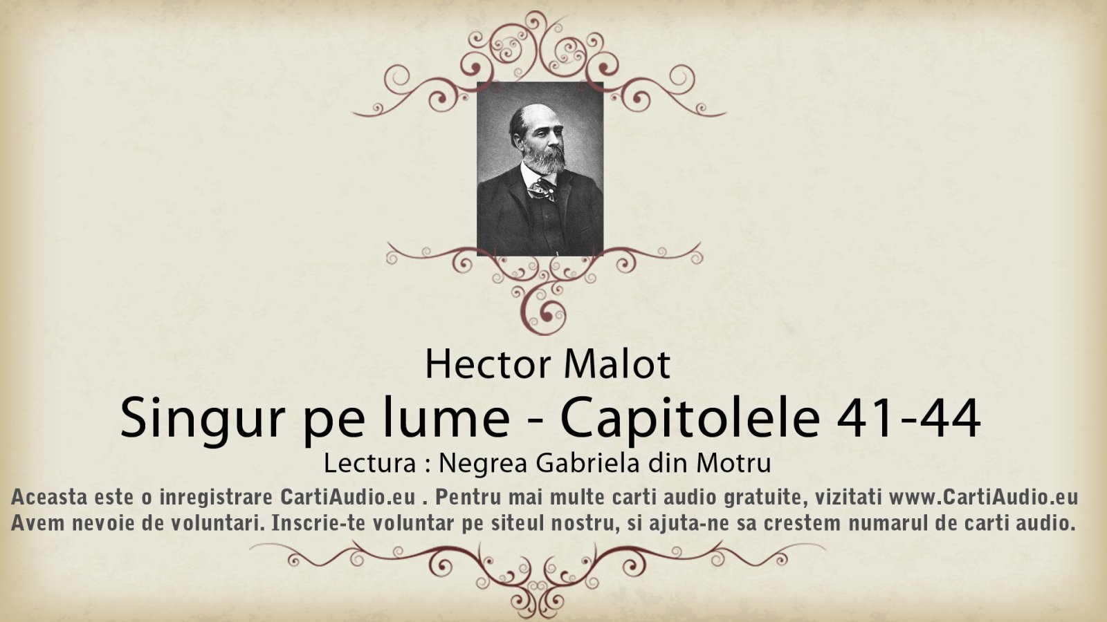 Afișul pentru Singur pe lume - Capitolele 41-44