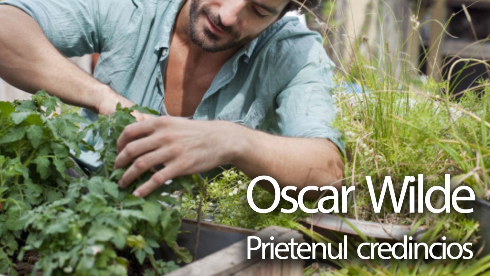 Afișul pentru Prietenul credincios