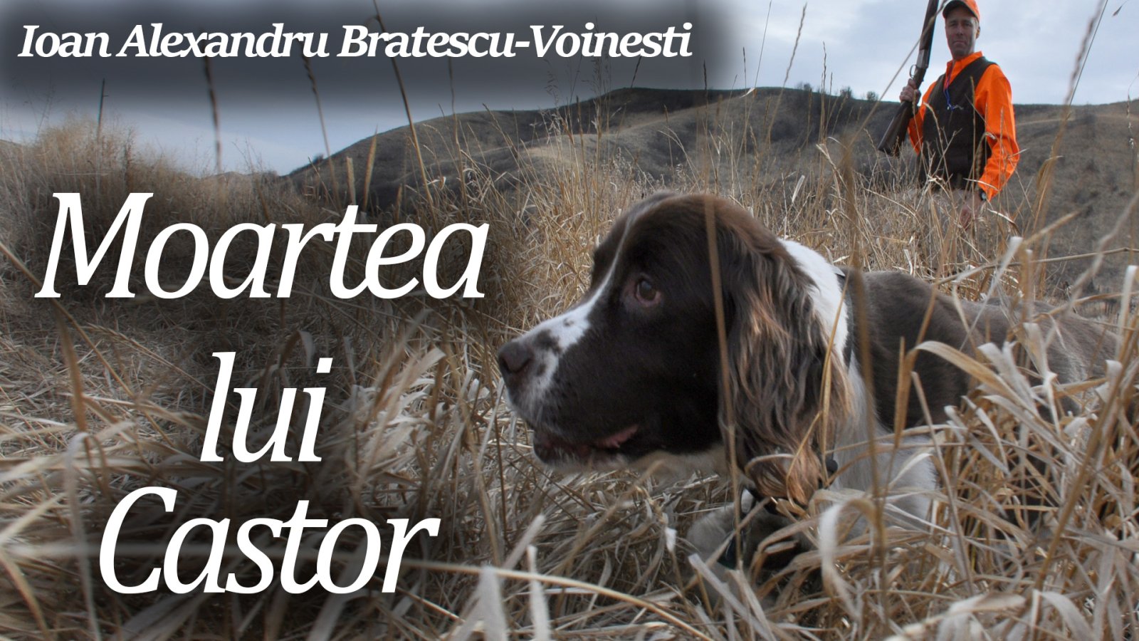 Afișul pentru Moartea lui Castor