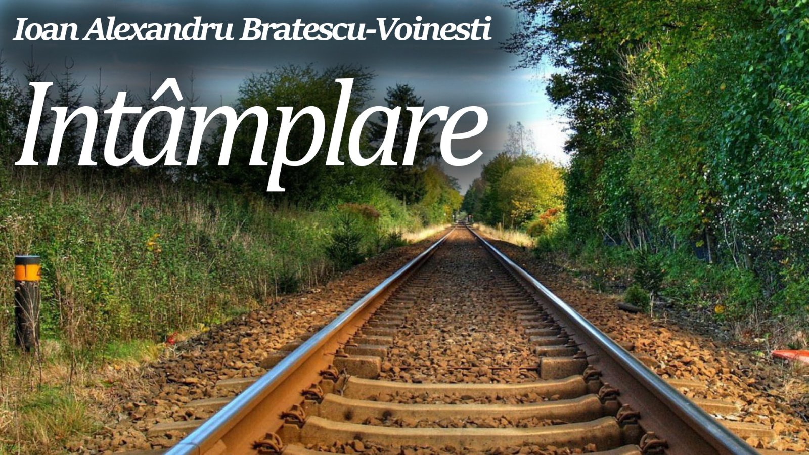 Afișul pentru Intamplare