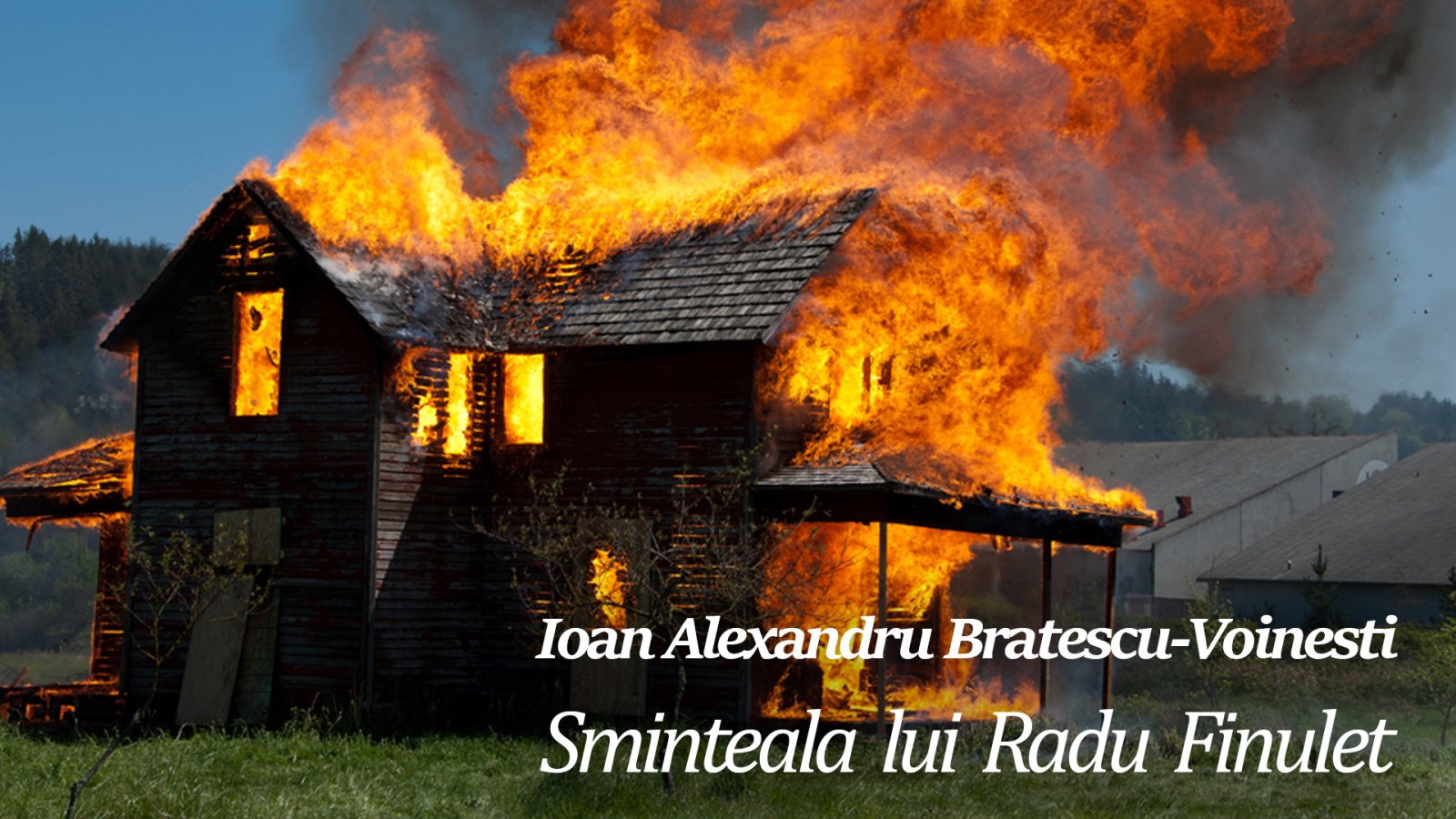 Afișul pentru Sminteala lui Radu Finulet