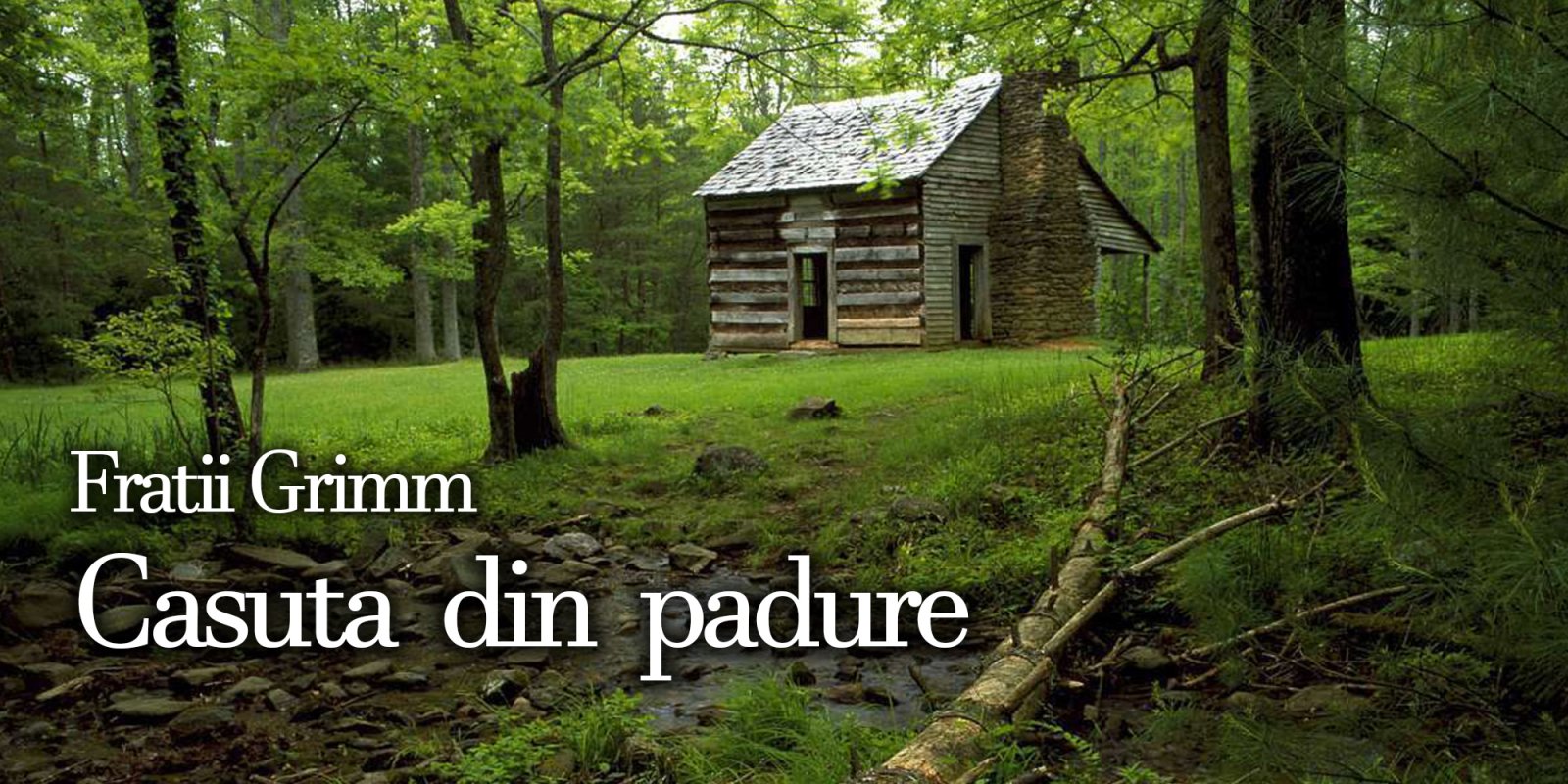 Afișul pentru Casuta din padure