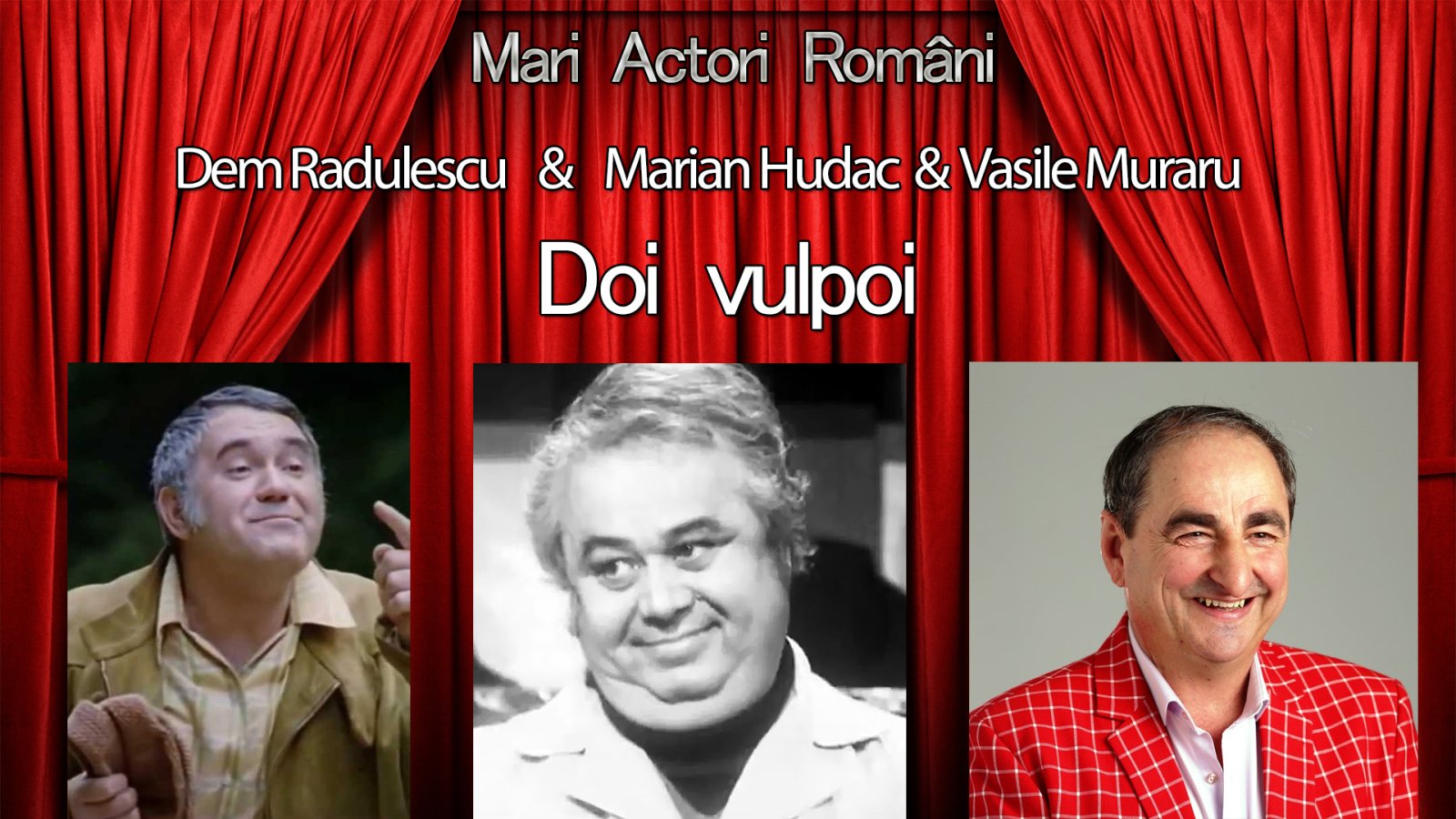 Afișul pentru Doi vulpoi