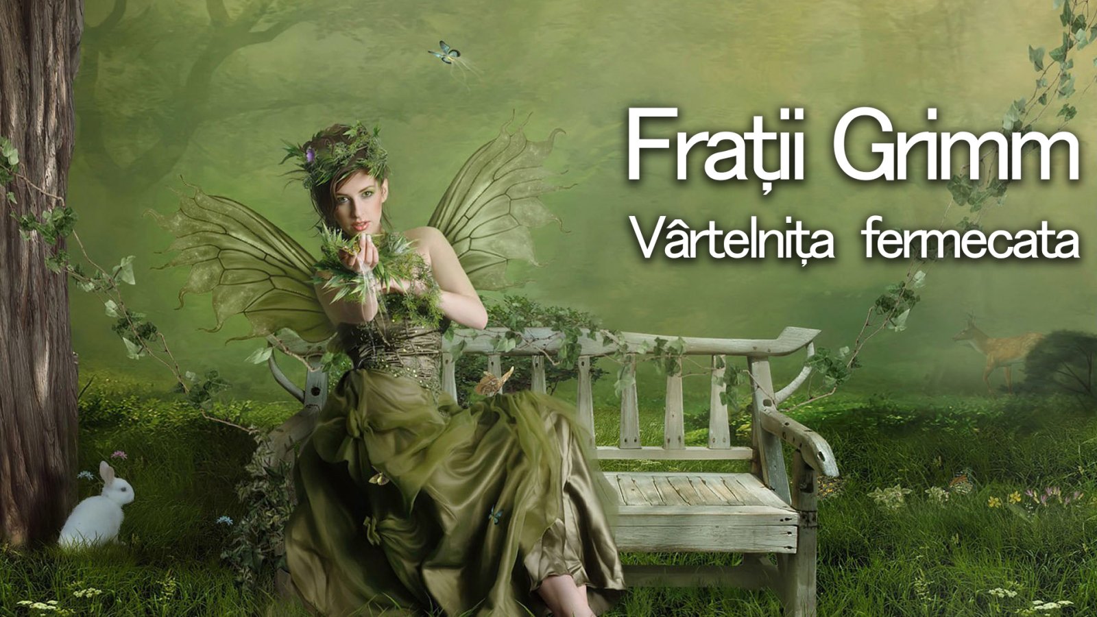 Afișul pentru Vartelnita fermecata
