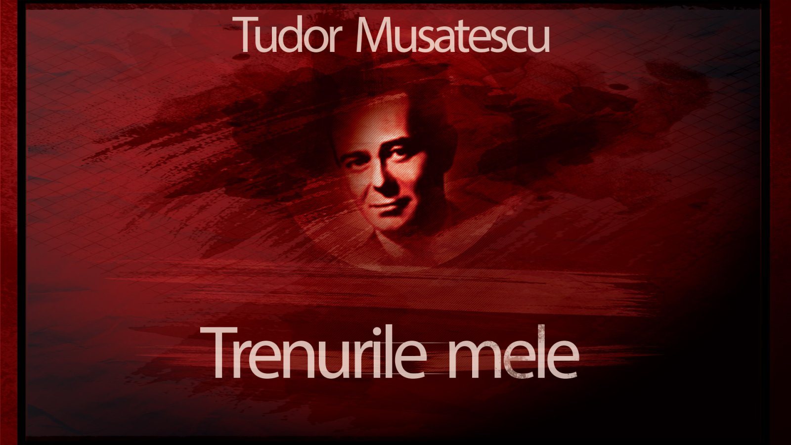 Afișul pentru Trenurile mele