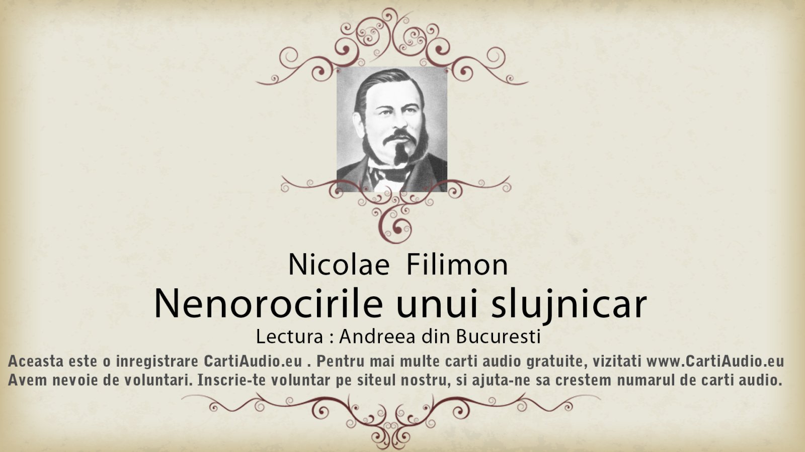 Afișul pentru Nenorocirile unui slujnicar