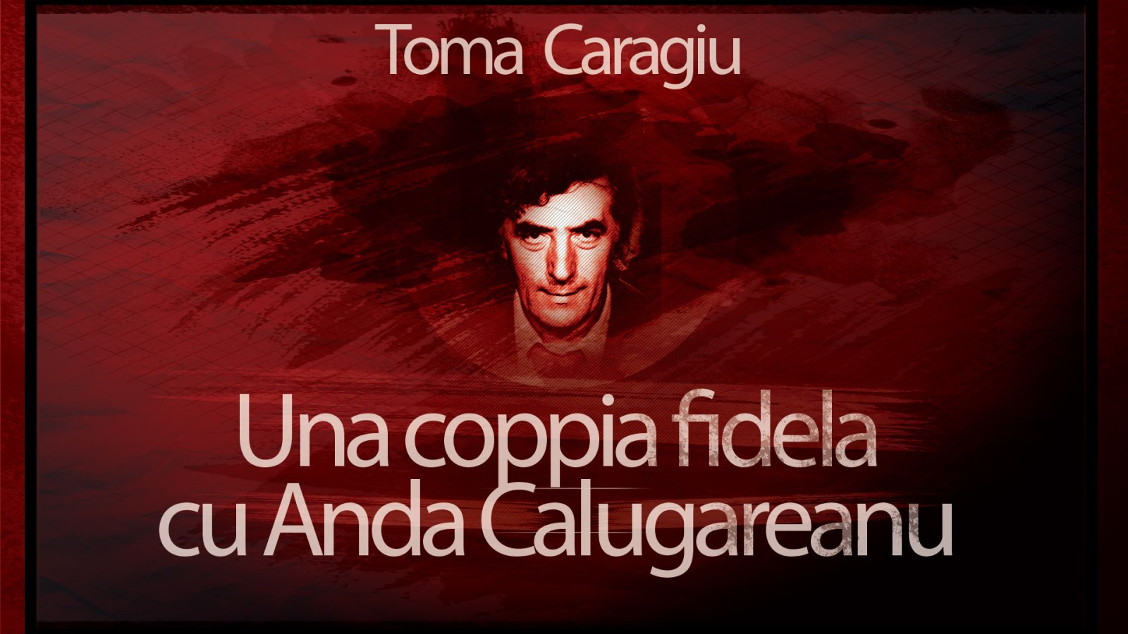 Afișul pentru Una coppia fidela cu Anda Calugareanu