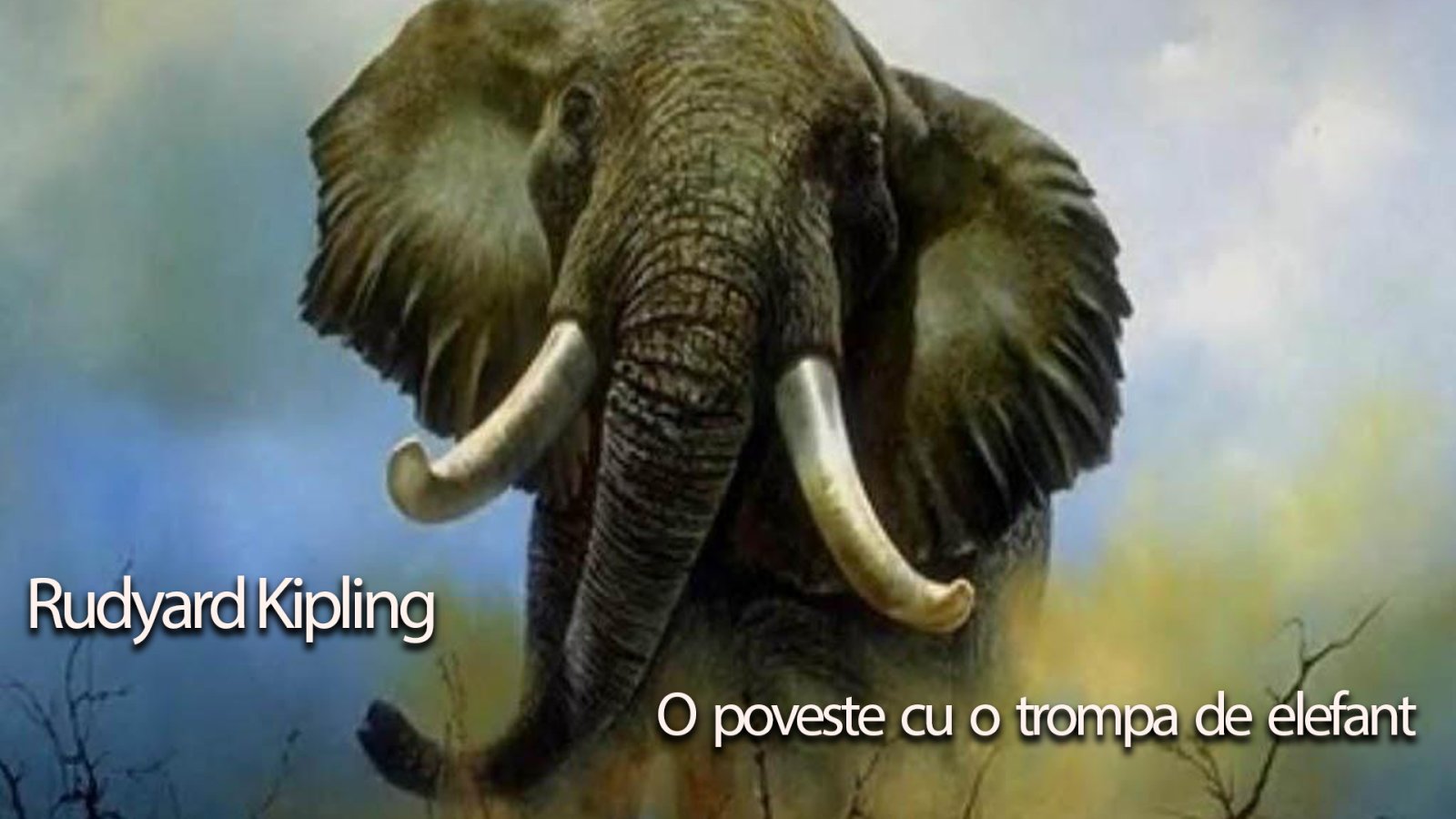 Afișul pentru O poveste cu o trompa de elefant