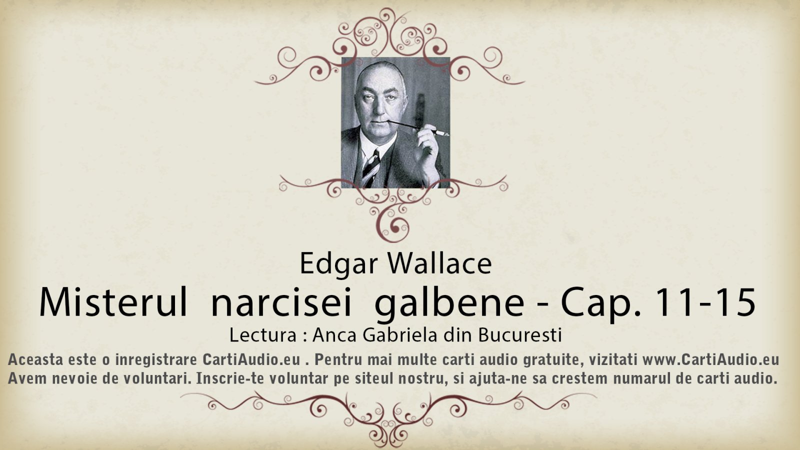 Afișul pentru Misterul narcisei galbene