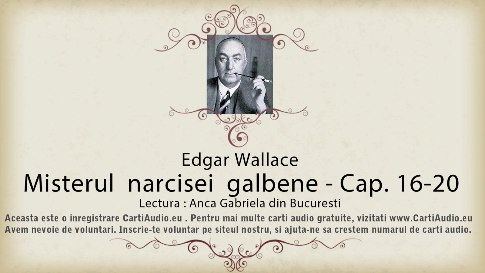 Afișul pentru Misterul narcisei galbene
