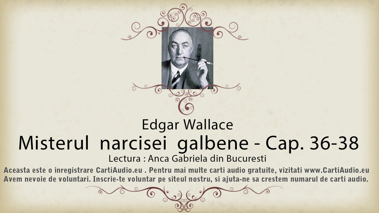 Afișul pentru Misterul narcisei galbene