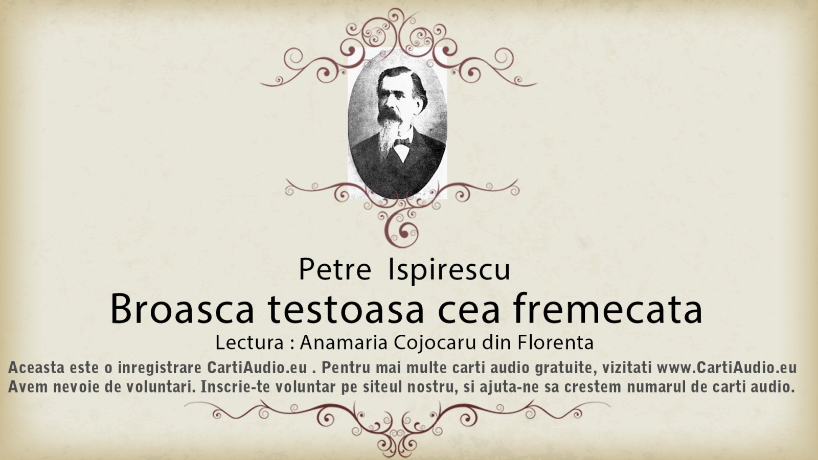 Afișul pentru Broasca testoasa cea fermecata