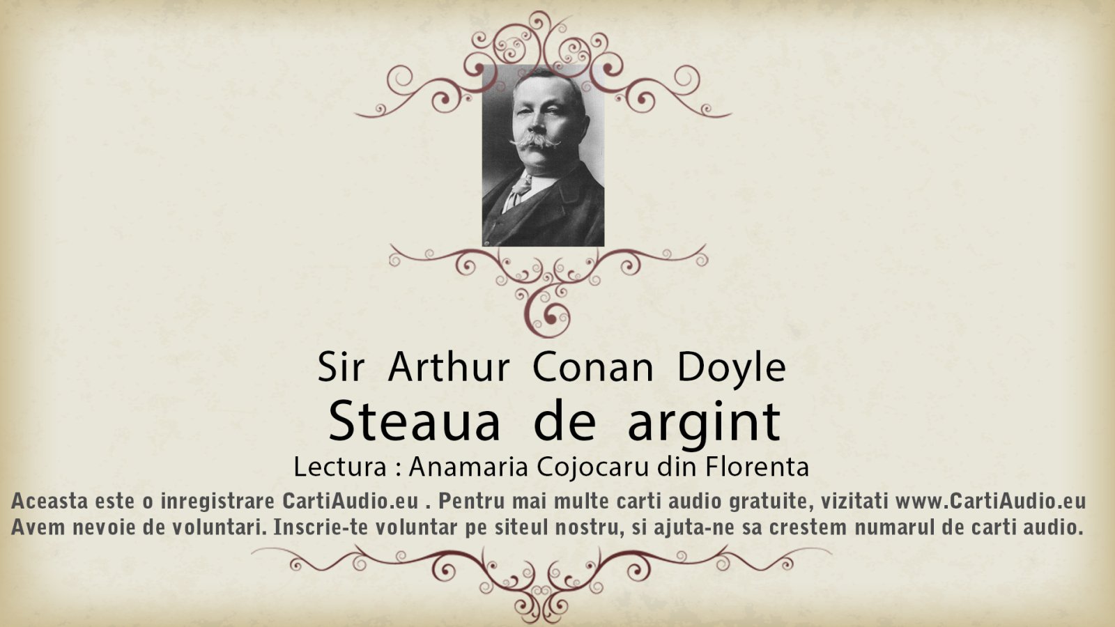 Afișul pentru Stea de Argint