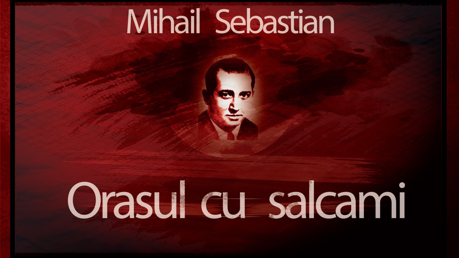 Afișul pentru Orasul cu salcami