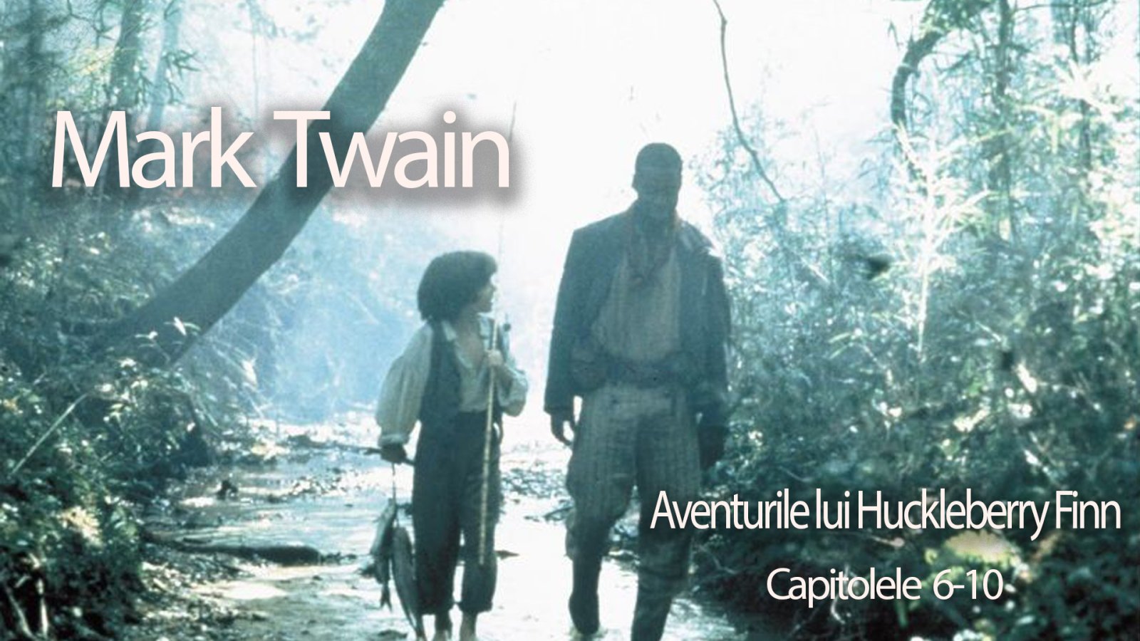 Afișul pentru Aventurile lui Huckleberry Finn - Capitolele 6-10