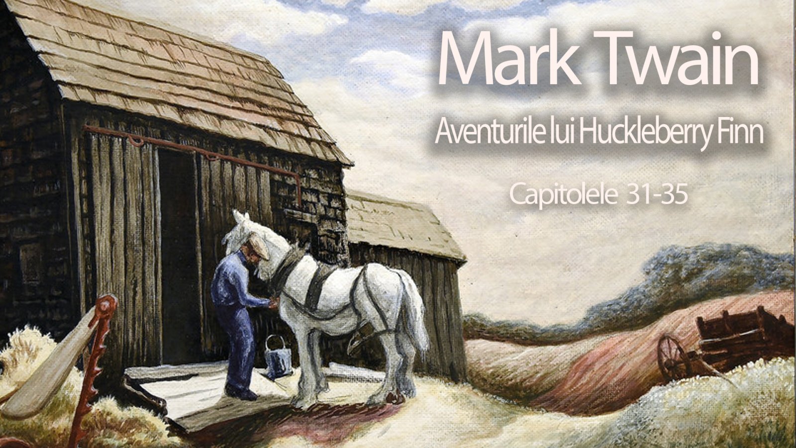 Afișul pentru Aventurile lui Huckleberry Finn - Capitolele 31-35