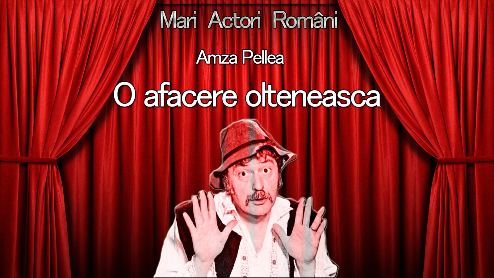 Afișul pentru O afacere olteneasca