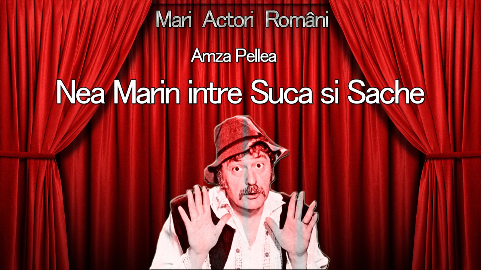 Afișul pentru Nea Marin intre Suca si Sache