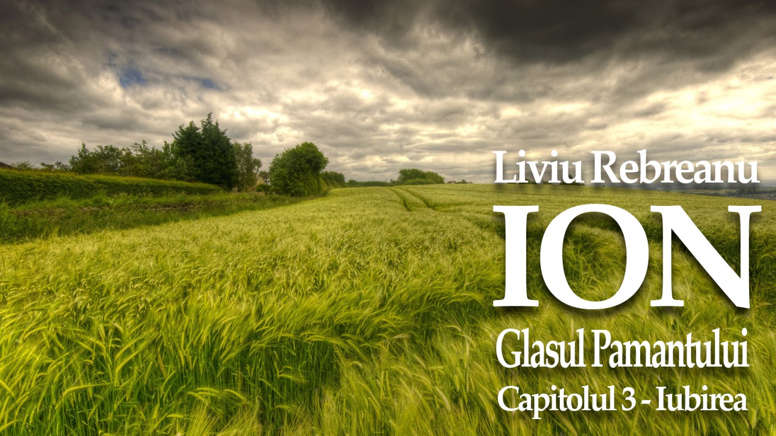 Afișul pentru Ion - Glasul Pamantului - 3 - Iubirea