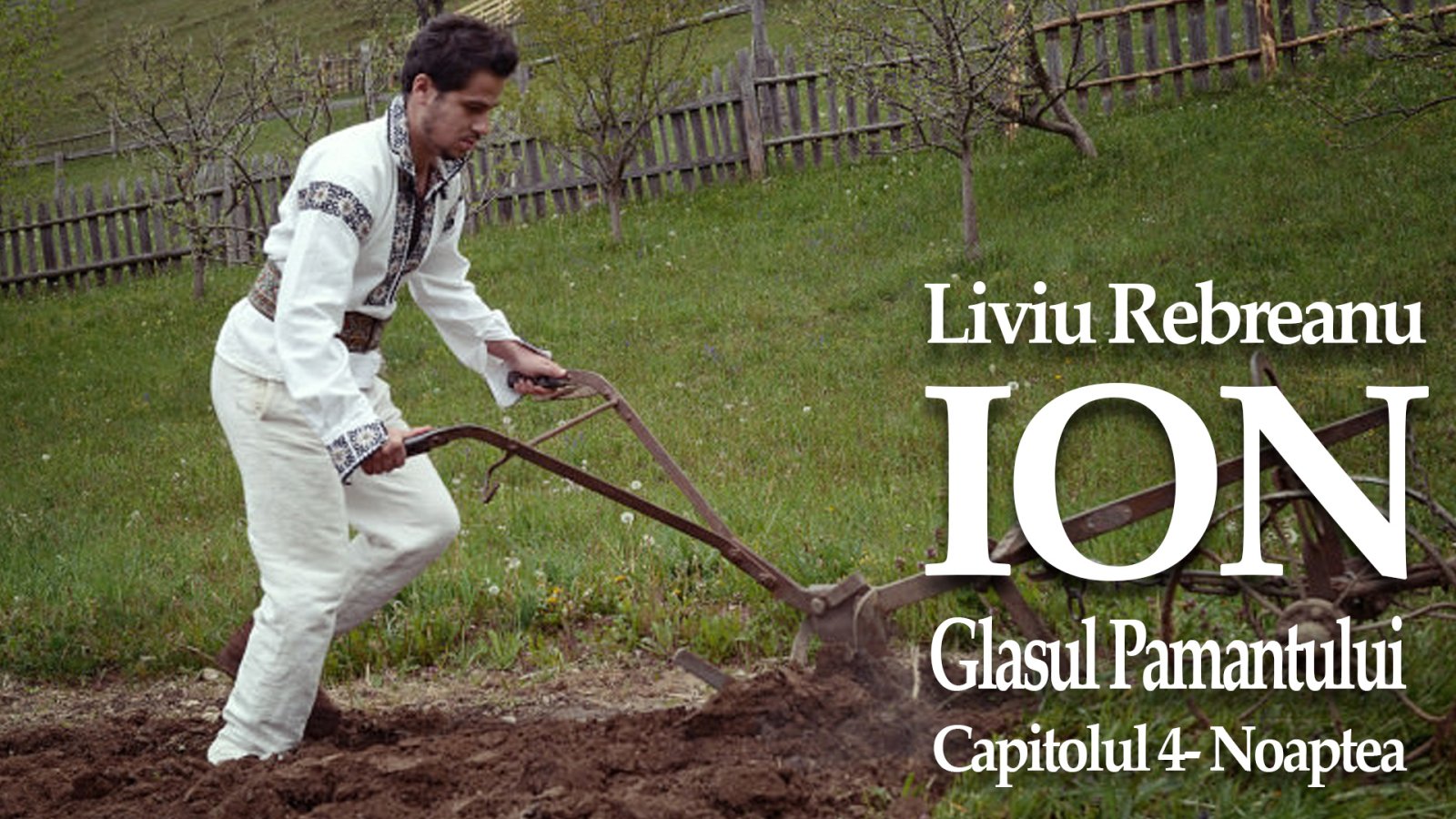 Afișul pentru Ion - Glasul Pamantului - 4 - Noaptea