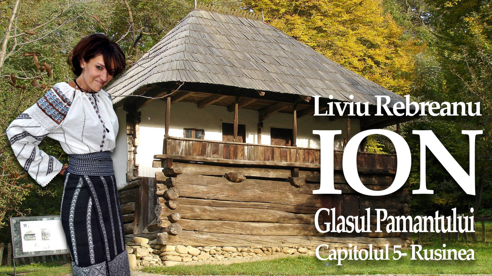 Afișul pentru Ion - Glasul Pamantului - 5 - Rusinea