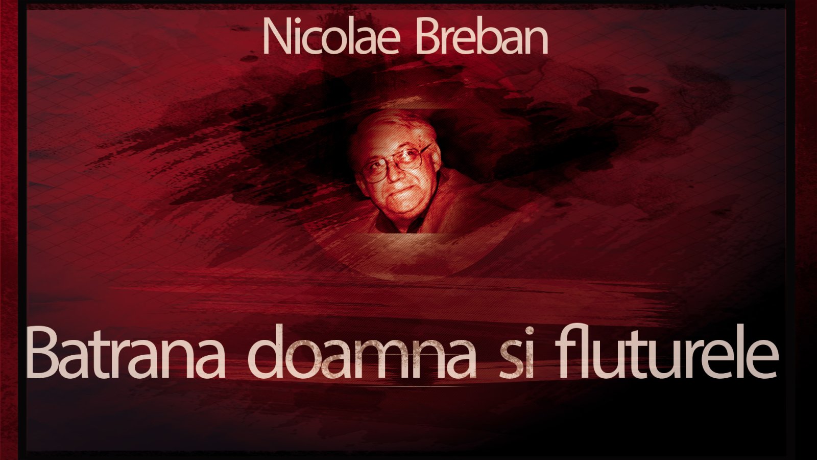 Afișul pentru Batrana doamna si fluturele