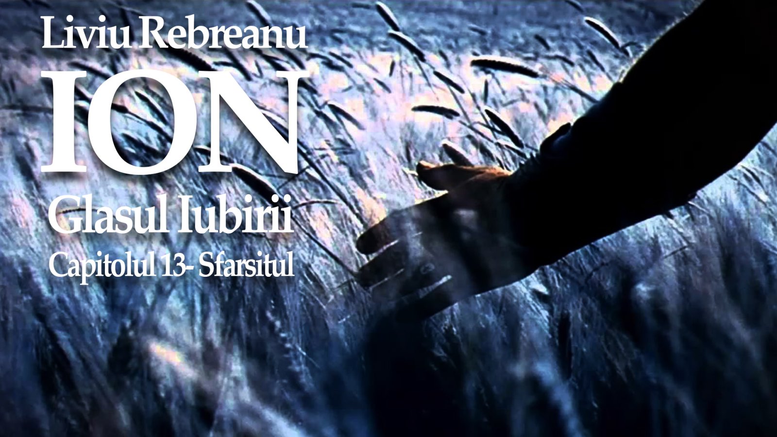 Afișul pentru Ion - Glasul Iubirii - 13 - Sfarsitul