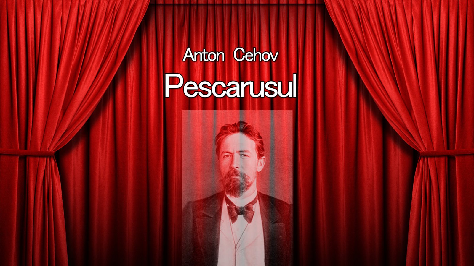 Afișul pentru Pescarusul