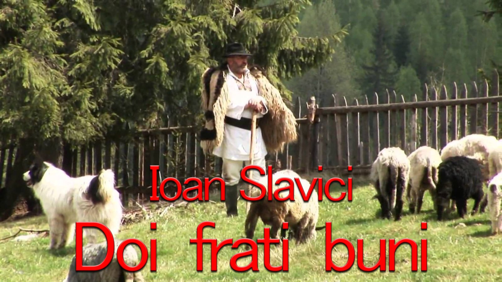 Afișul pentru Doi frati buni