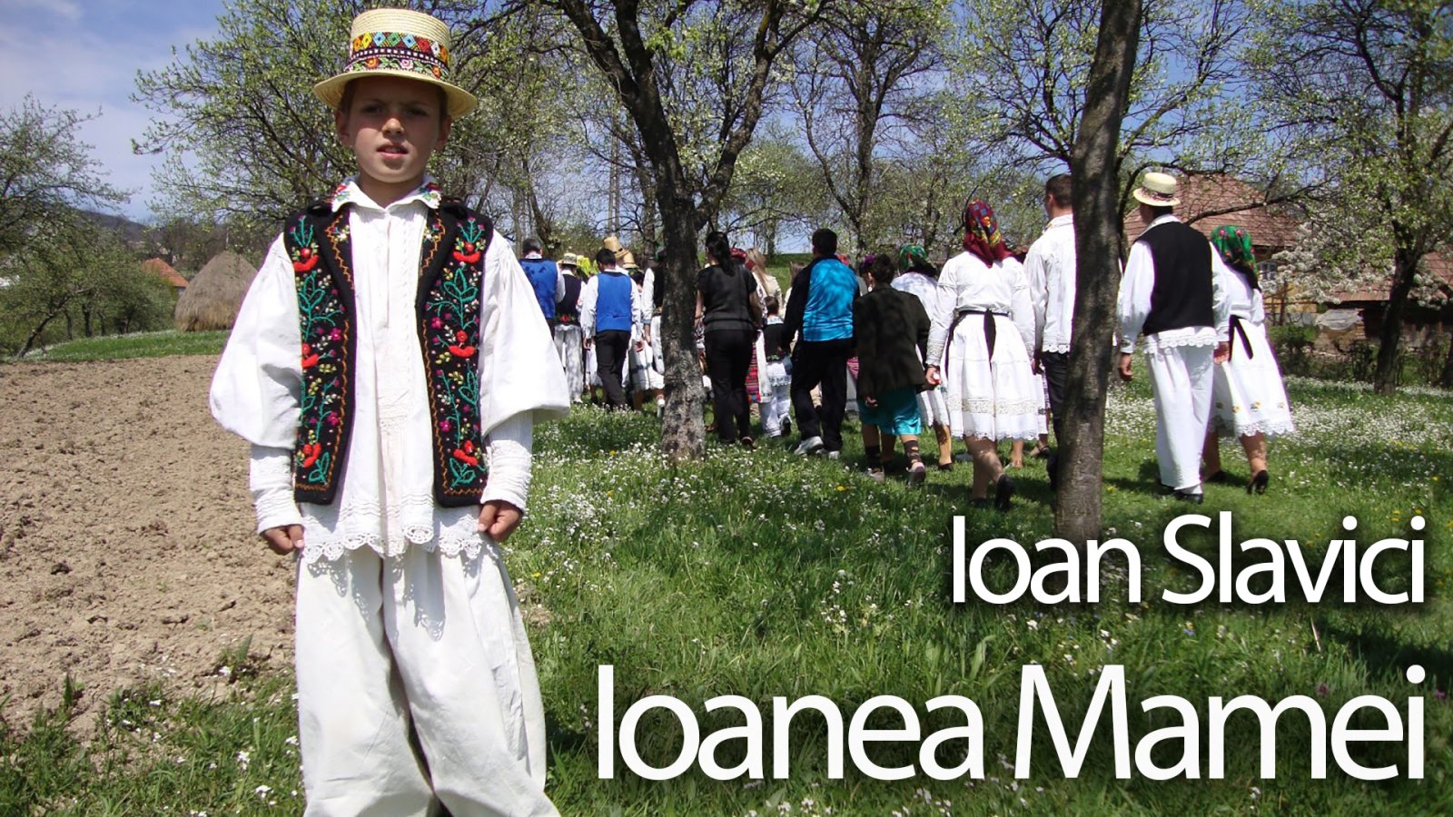 Afișul pentru Ioanea Mamei